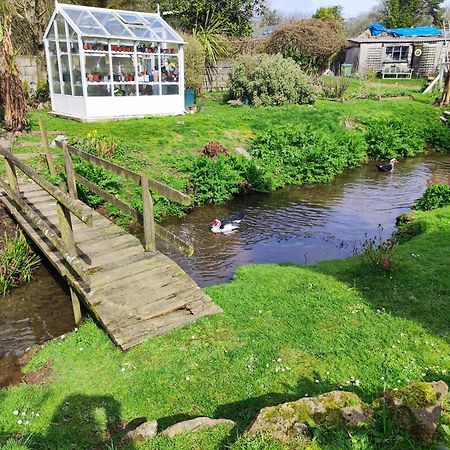 Willa Tree Fern Barn St Austell Zewnętrze zdjęcie