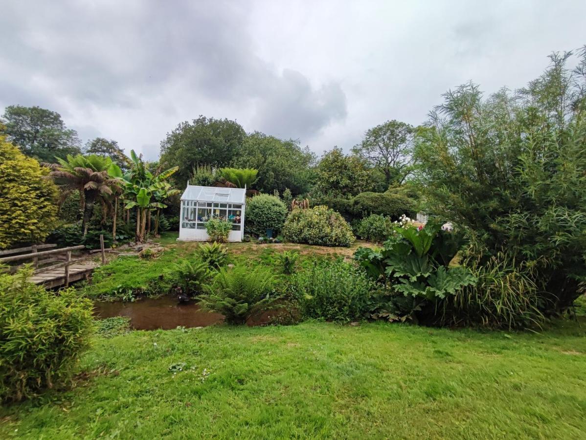 Willa Tree Fern Barn St Austell Zewnętrze zdjęcie